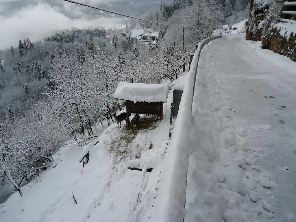 Bed & Breakfast B&B Val Maschi Lamon Italy
